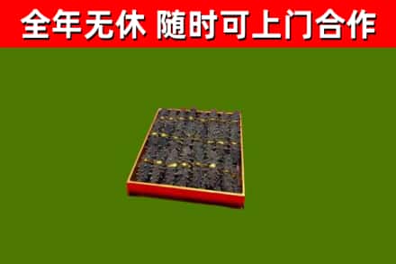 临淄区回收海参